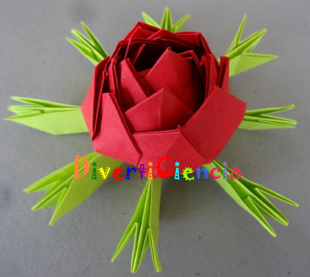 Flor de loto