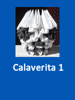 Calaveritahalloween