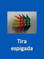 Yita espigada
