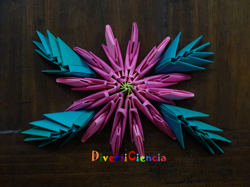 Flor