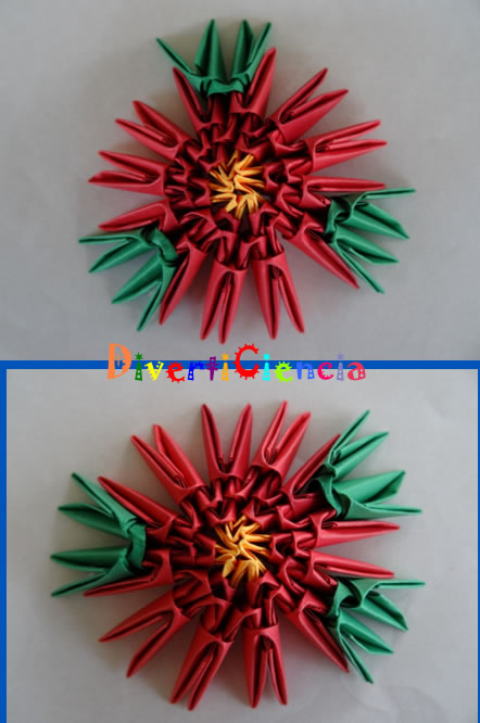 Flor de nochebuena