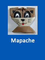 Mapache
