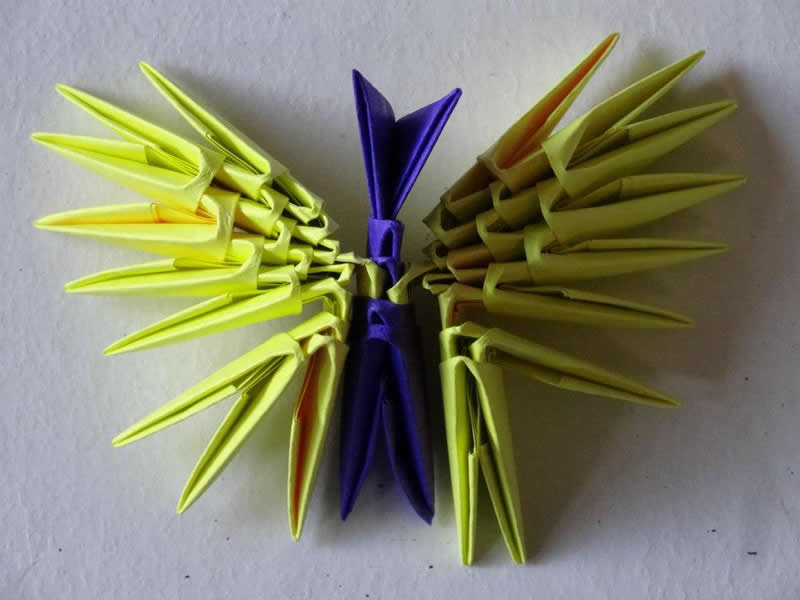 Mariposa