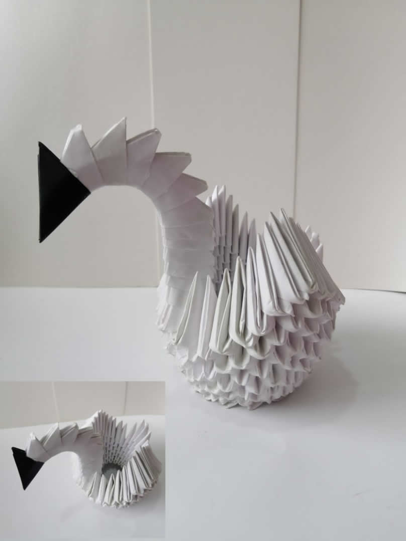 Cisne