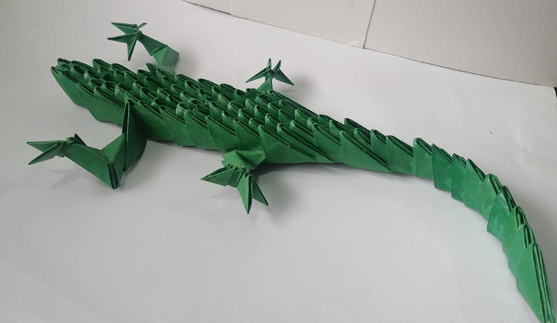 Iguana