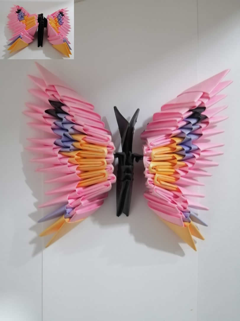 Mariposa