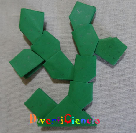 Nopal