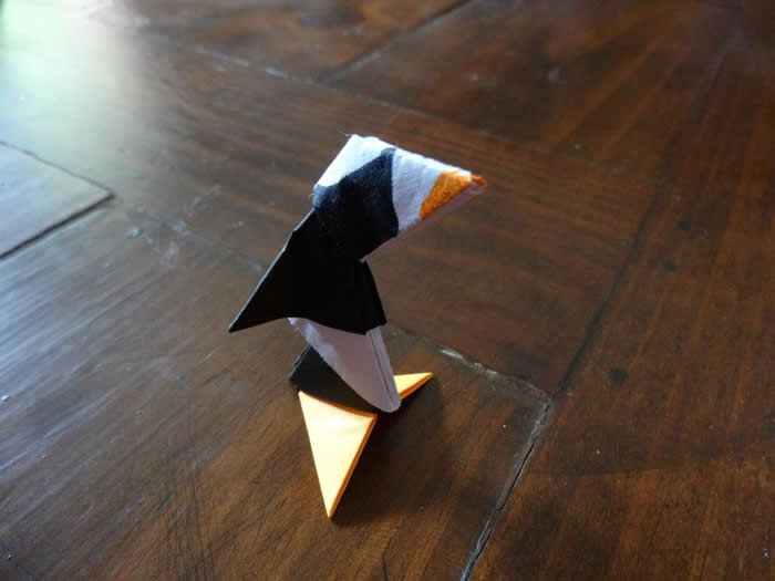 Pinguino