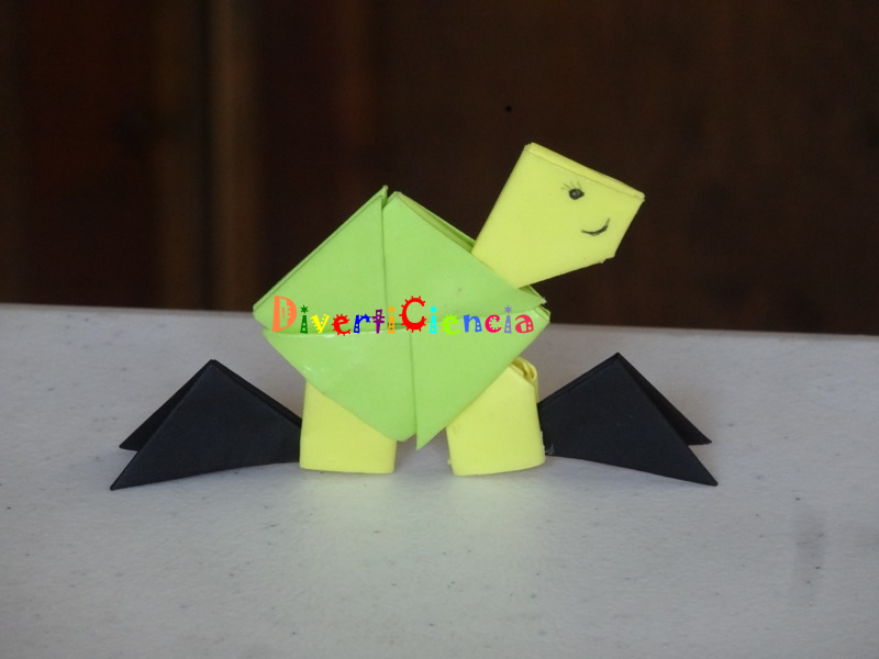 Tortuga