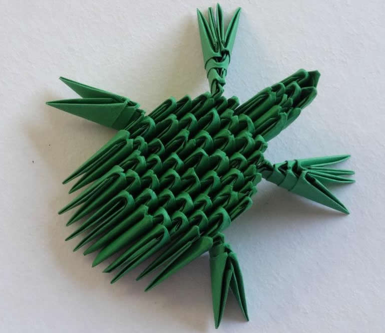 Tortuga