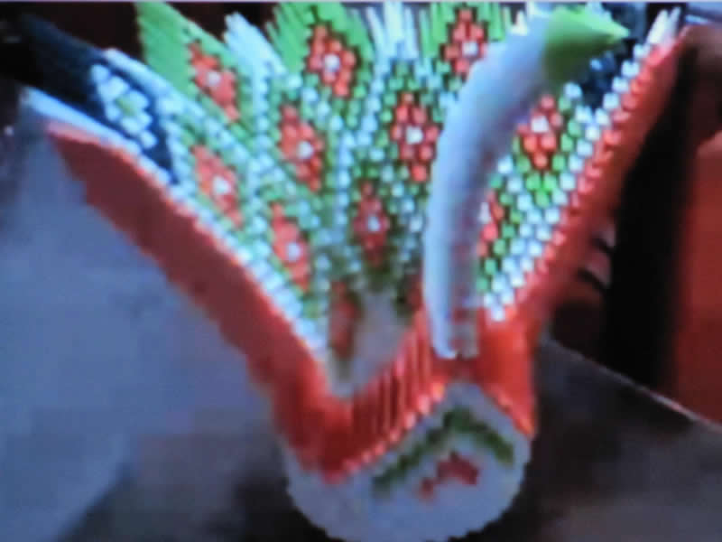 Pavo real