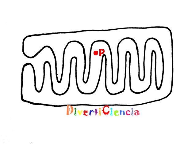 Dentro y fuera