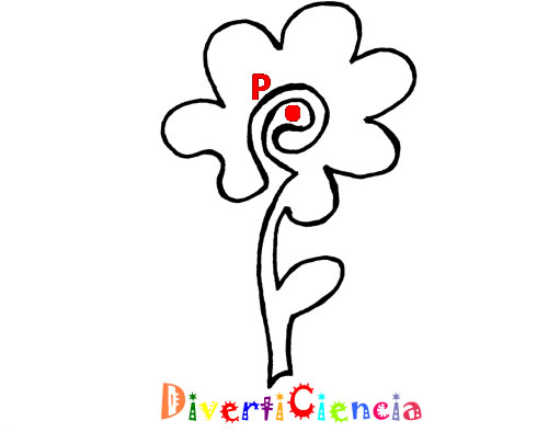 Dentro y fuera