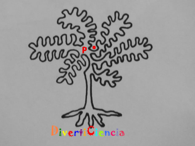 Dentro y fuera