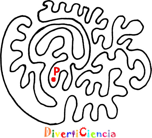Dentro y fuera