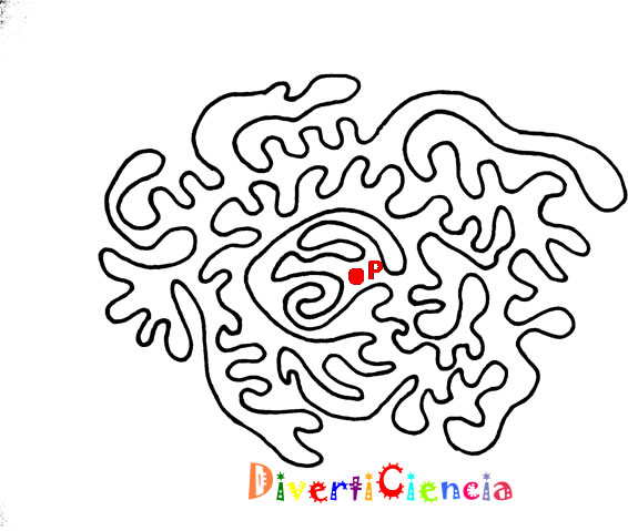 Dentro y fuera