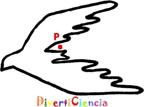 Dentro y fuera
