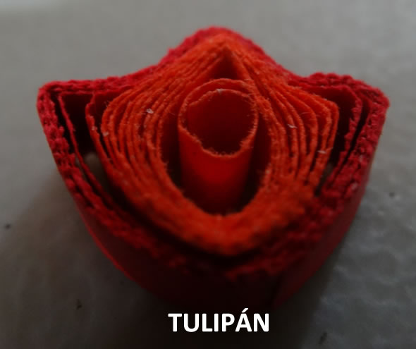 Tulip&aacute;n
