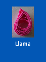 Llama