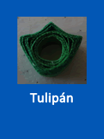 Tulipán