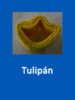 Tulipán