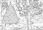 Figuras para colorear