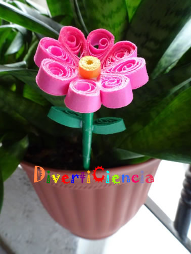 Flor