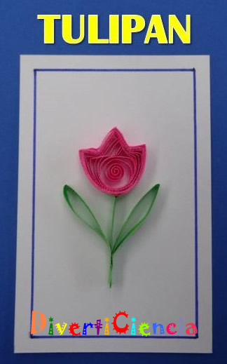 Flor