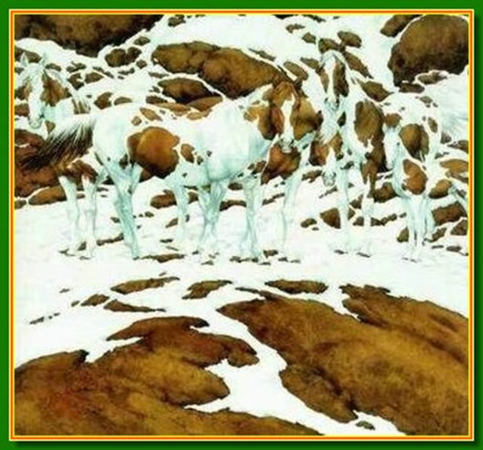 Ilusiones �pticas