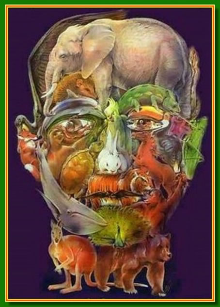 Ilusiones �pticas