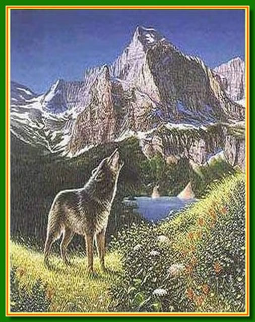 Ilusiones �pticas