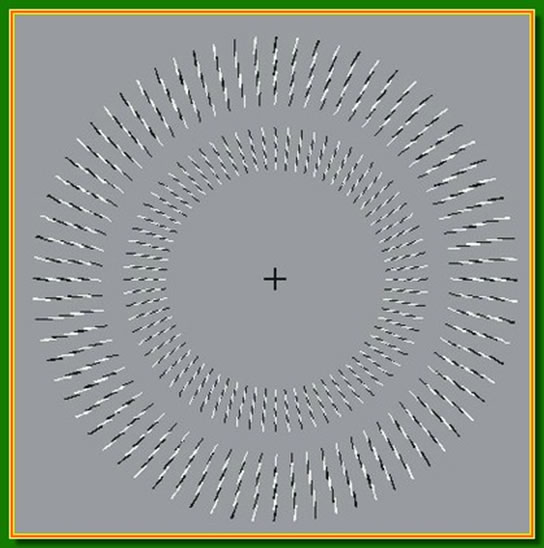 Ilusiones �pticas