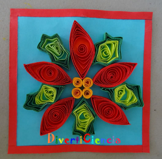 Flor de nochebuena