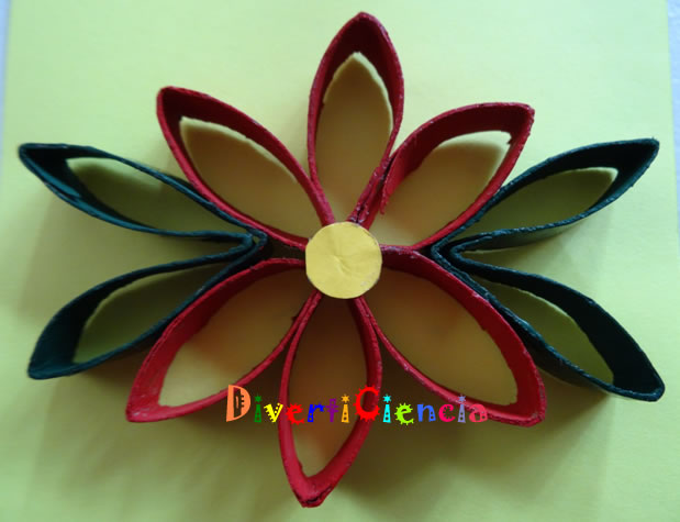 Flor de nochebuena