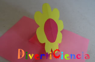 Soporte central