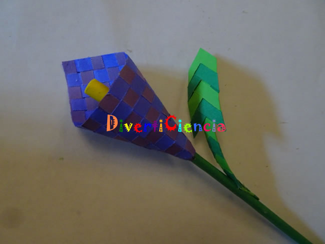 Flor
