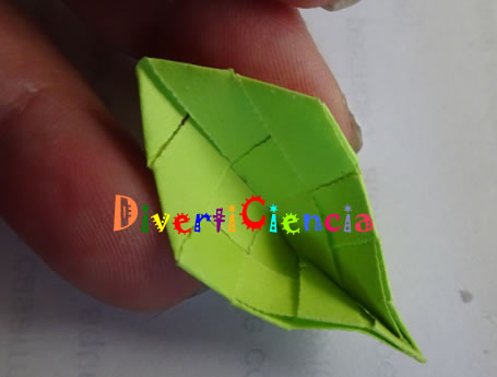 Hoja