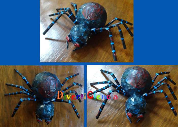 Ara&ntilde;a