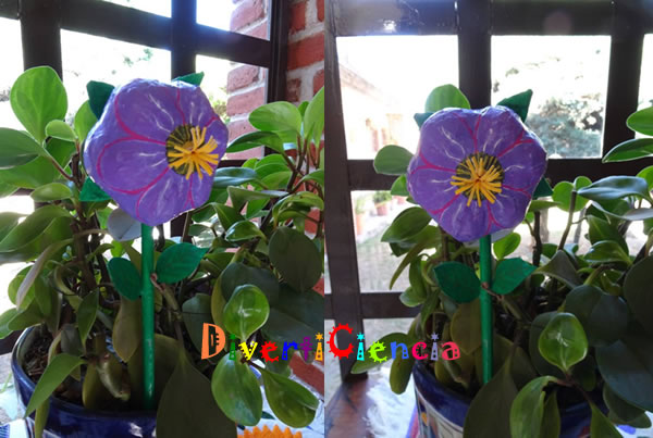 Flor