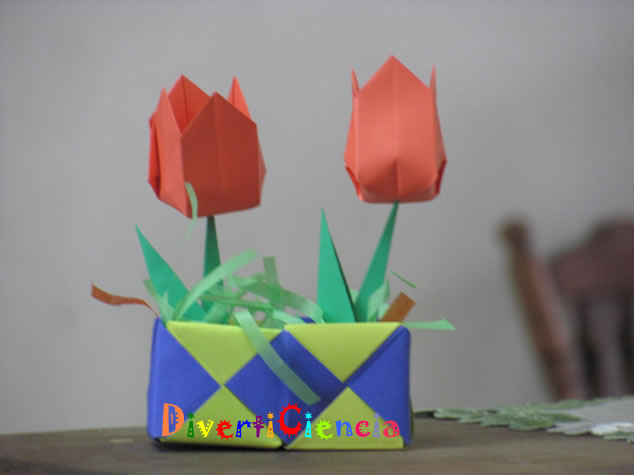 Tulipanes