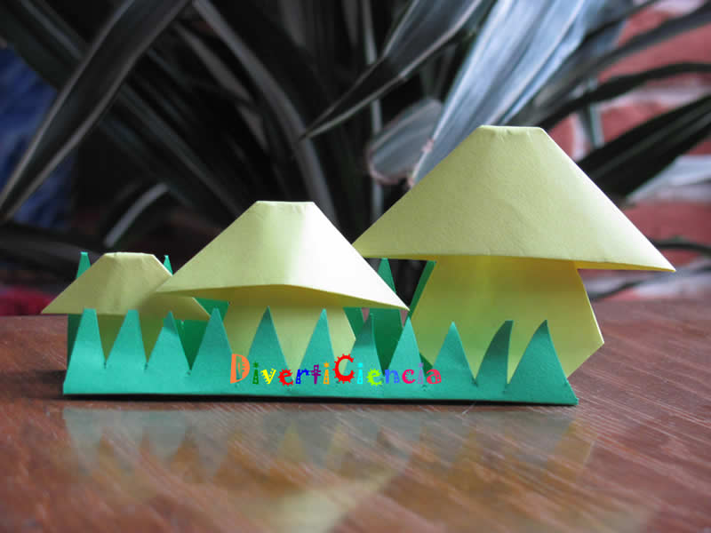 Honguitos