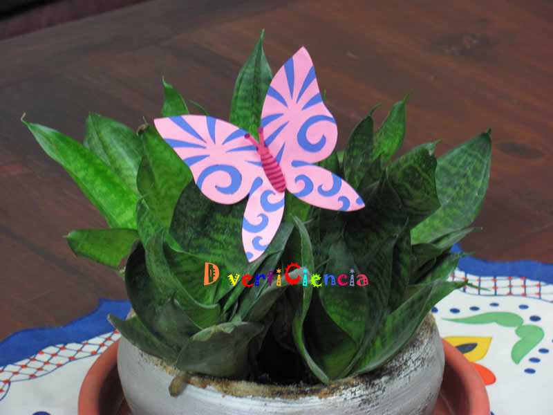 Mariposa