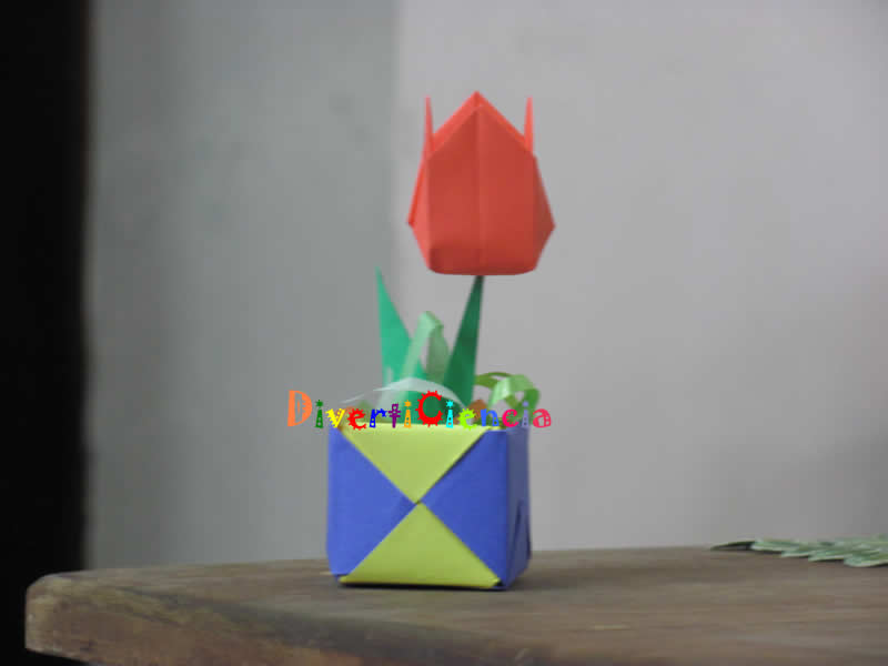 Flor