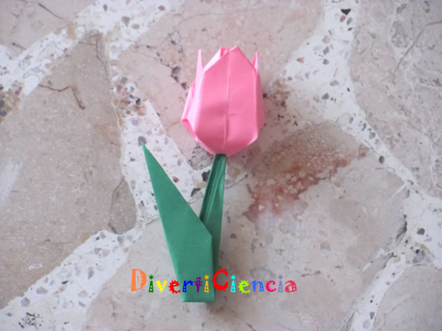 Tulip�n