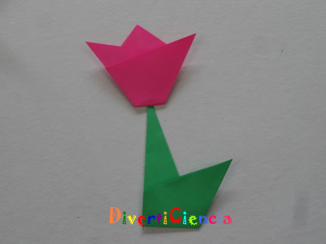 Flor