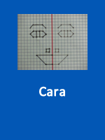 Cara