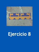 Simetría por traslación