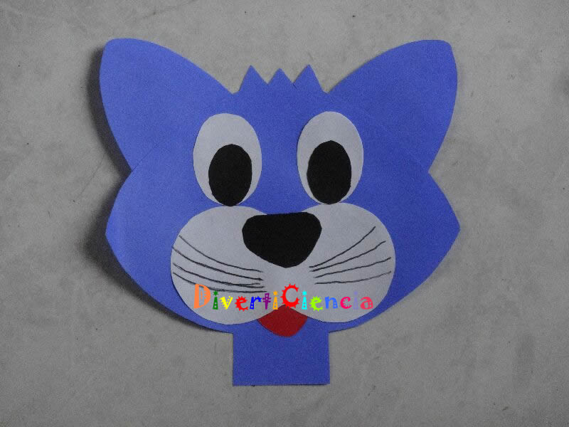 Gato