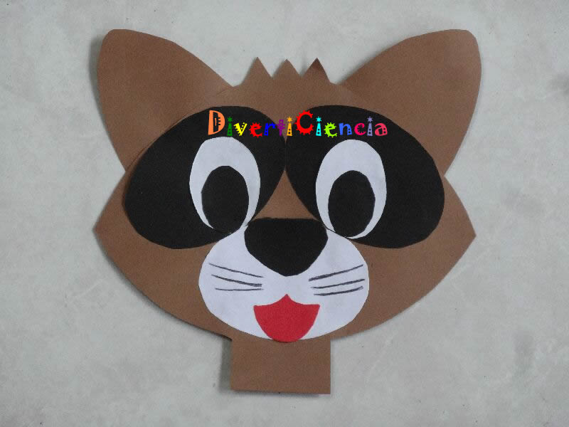 Mapache