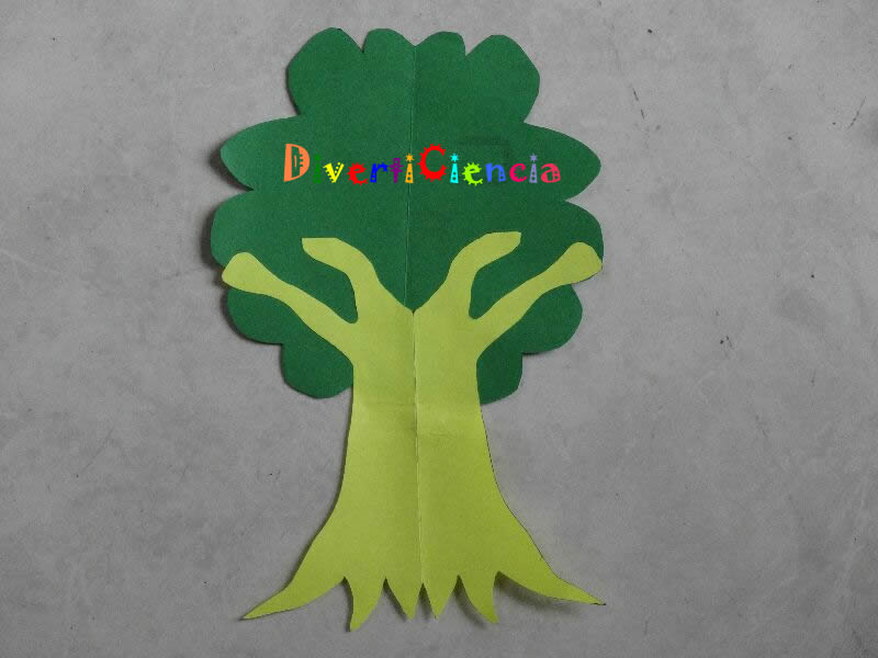 &Aacute;rbol